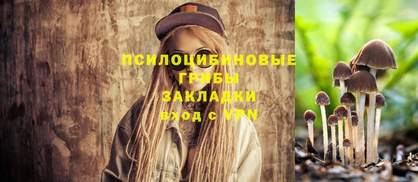 мет Бронницы