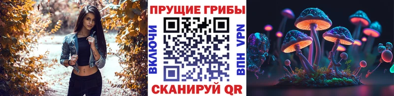 даркнет сайт  Высоковск  Псилоцибиновые грибы Magic Shrooms 